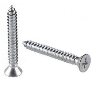 N/P Self-Tapping Screws